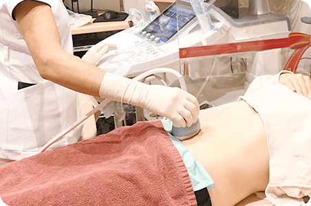 Fetal Dock（Detailed ultrasound scan）