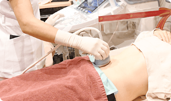 Fetal Dock（Detailed ultrasound scan）
