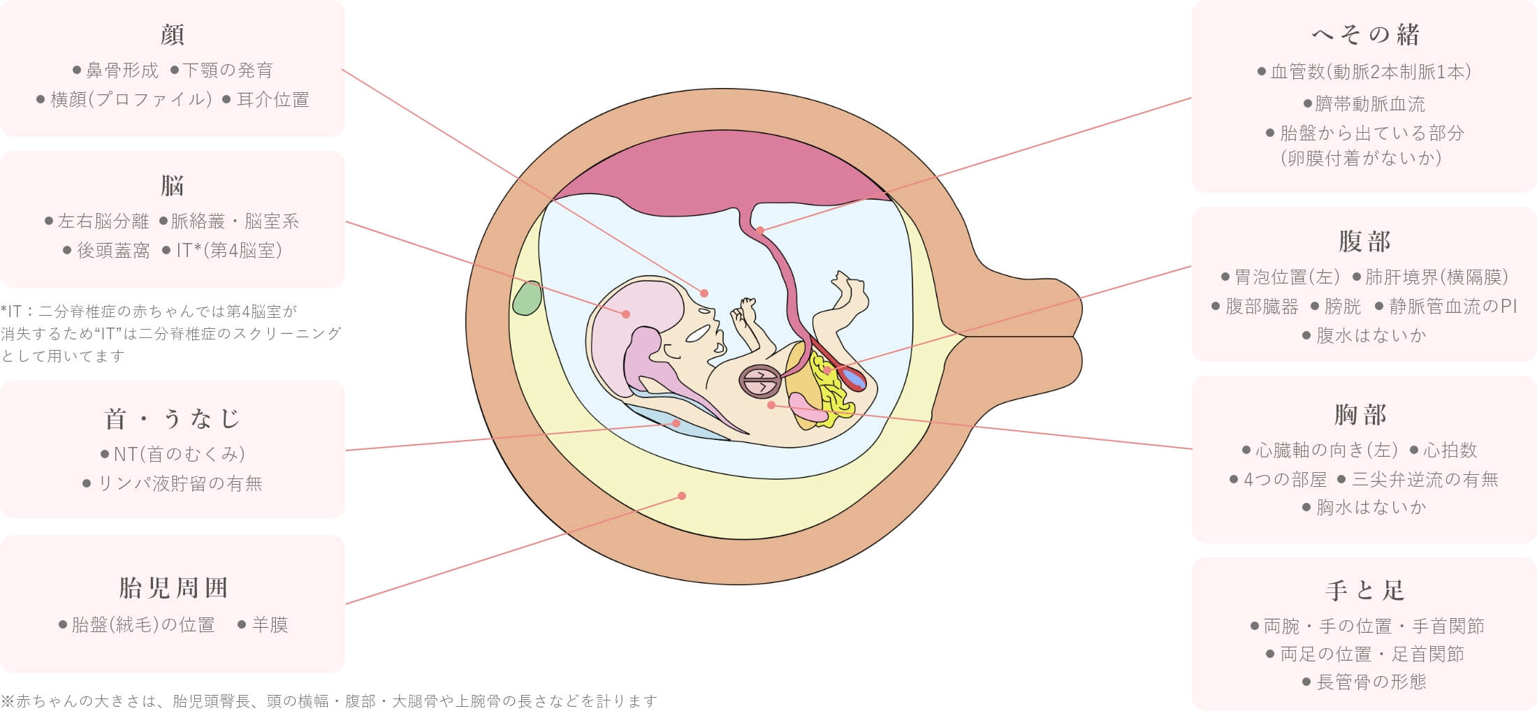 胎児ドック お腹の赤ちゃんドック について クリフム出生前診断クリニック