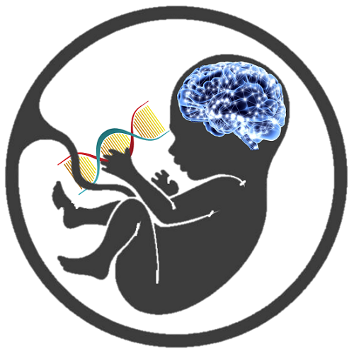 Brain and genetic mutation