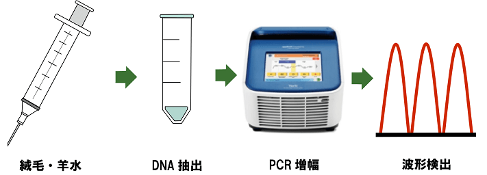 QF-PCR法