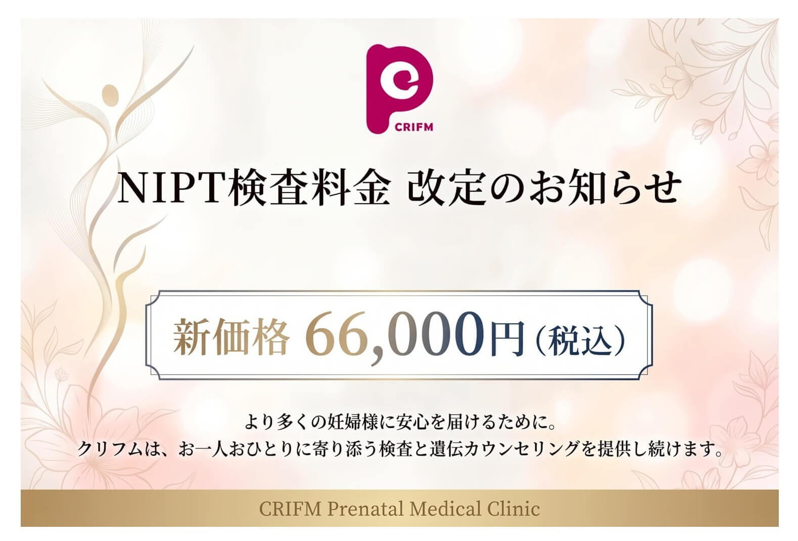 ２児mama様＊確認用 クリフム出生前診断クリニック